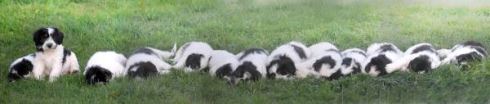 Grosse Fatigue après 2 heures de jeux en pleine nature